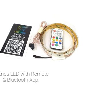 2 Strip LED With Remote & App